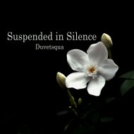 Duvetsqua - Twilight Reverie
