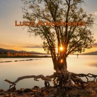 SlipkRay - Dreamer\'s Reverie Rhythms