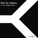 Not So Heavy - In Your Wildest Skin (Myles Remix)