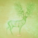 Beta Function - Ethereal Lights (Original Mix)