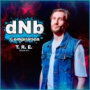 T.R.E. - dNb Compilation (1)