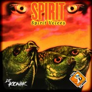 Spirit - Spirit Voices
