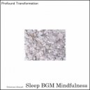 Sleep BGM Mindfulness - Mystic Serenade (Original Mix)