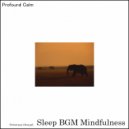 Sleep BGM Mindfulness - Peaceful Pillowtop Sleep (Original Mix)