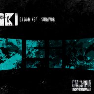 DJ Domingo - Survivor