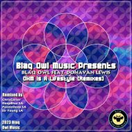 Blaq Owl feat. Donavan Lewis - DHM Is A Lifestyle