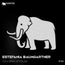 Estefania Baumgartner - Education of House (Original Mix)
