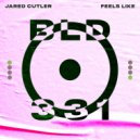 Jared Cutler - Feels Like (Original Mix)