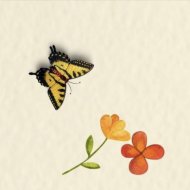 BoDo - Little Hope
