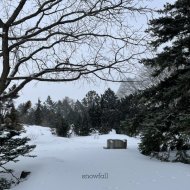 Blondette - fireplace and snow