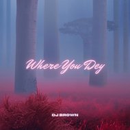 Dj Brown - Where You Dey