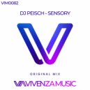 DJ Peisch - Sensory (Original Mix)