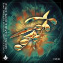 Tom & Collins, Thomas Newson, Pave - Serena (Sllash & Doppe Extended Remix)