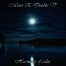 Mister E Double V - Harmony of calm (2024)