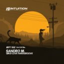 Sandro M. - Girls Love Hardgroove (Original Mix)