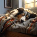 Sleepy Pets & Field Animals & Melatonement - Rain\'s Gentle Harmony for Furry Friends ()