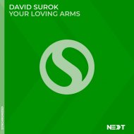 David Surok - Your Loving Arms