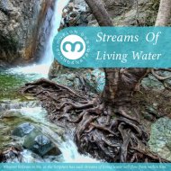 Muflon Dub Soundsystem - Streams Of Bubbling Dub
