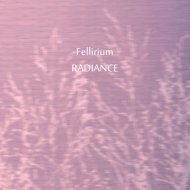 Fellirium - Tell Me Your Secret