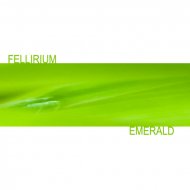 Fellirium - Organic Chamber
