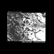 Fellirium - Vaccine