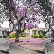 Siarhei Korbut - Nature Zen