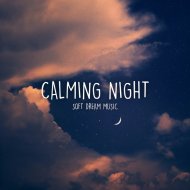 Soft Dream Music - Calming Night