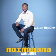 Uncle BigSam - Ndimwana Wamukulu