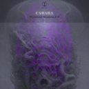 Carara - Phase (Original Mix)