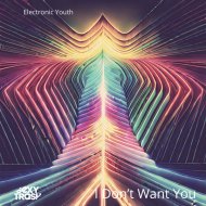 Electronic Youth - I Don\'t Want You