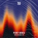 Perky Wires - Exploited (Original Mix)