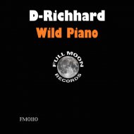 D-Richhard - Wild Piano