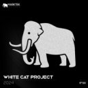 White Cat Project - 2024 (Original Mix)