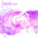 Aurora-bird (CHN) - Shelter, Pt.III (Original Mix)