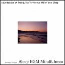 Sleep BGM Mindfulness - Embracing the Inner Vision of Deep Sleep Practices (Original Mix)