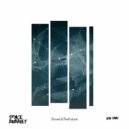 Space Bubbles - Show Us The Future (Original Mix)