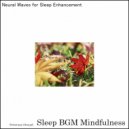 Sleep BGM Mindfulness - Harmonizing with Life\'s Vibrations (Original Mix)