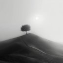 Droomgolf - Zee reflectie ()