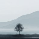 Etherische Esdoorn - Oceaanrust meditatie