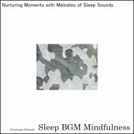 Sleep BGM Mindfulness - Whispers of Neural Rhythms Guiding to Dreams of Serenity