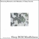 Sleep BGM Mindfulness - Nurturing the Soul with the Song of Nature\'s Serenity (Original Mix)