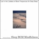Sleep BGM Mindfulness - Astral Dreams Infused with Mindful Relaxation for Restful Sleep (Original Mix)