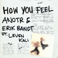 ANOTR & Erik Bandt feat. Leven Kali - How You Feel