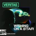 Veritas (UK) - Wishing On A Star (Original Mix)