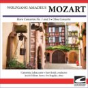 Camerata Labacenis - Mozart - Oboe Concerto in C major KV 314 - Allegro aperto ()