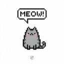 Streex - MEOW!