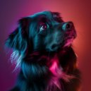 Pet Music World & Lofi Chill and Study & Lofi Pau Pau - Tranquil Comfort for Furry Hearts