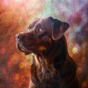 Puppy Music & Lofi Radio & Lo Fi Hip Hop 2023 - Quiet Comfort for Loyal Companions