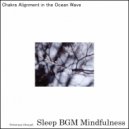 Sleep BGM Mindfulness - Nature\'s Symphony Lulls the Emotional Unrest (Original Mix)