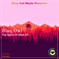 Blaq Owl feat. Diyonca - You\'re the One